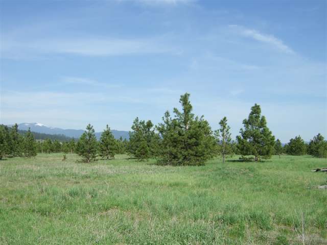 21710 North Hardesty Road, Unit LOT A Colbert, WA 99005 - Photo 2 of 9