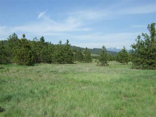 21710 North Hardesty Road, Unit LOT A Colbert, WA 99005 - Photo 3 of 9