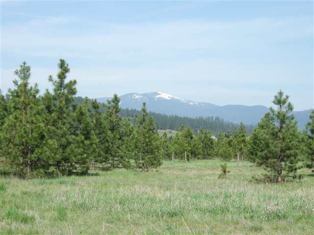 21710 North Hardesty Road, Unit LOT A Colbert, WA 99005 - Photo 4 of 9