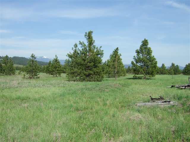 21710 North Hardesty Road, Unit LOT A Colbert, WA 99005 - Photo 5 of 9