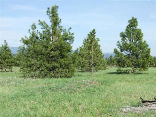 21710 North Hardesty Road, Unit LOT A Colbert, WA 99005 - Photo 7 of 9