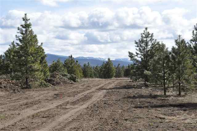21710 North Hardesty Road, Unit LOT A Colbert, WA 99005 - Photo 8 of 9