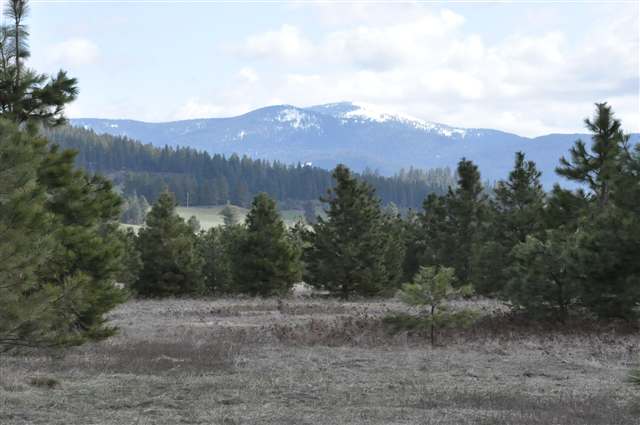 21710 North Hardesty Road, Unit LOT A Colbert, WA 99005 - Photo 9 of 9