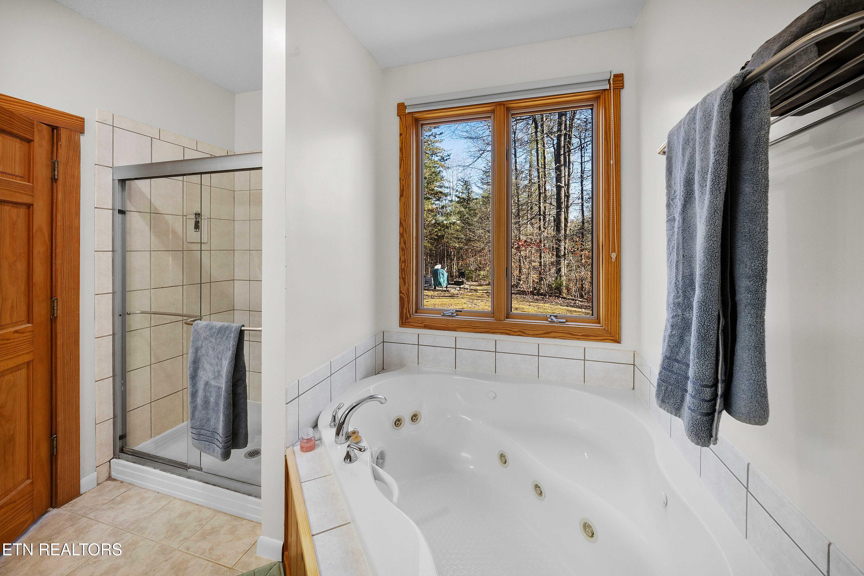 414 Gold Road Cosby, TN 37722 - Photo 36 of 58 L40A1362
