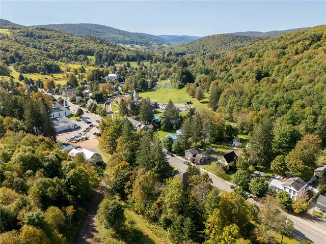 $499,000 | 191 Delaware Avenue, Andes, NY 13731