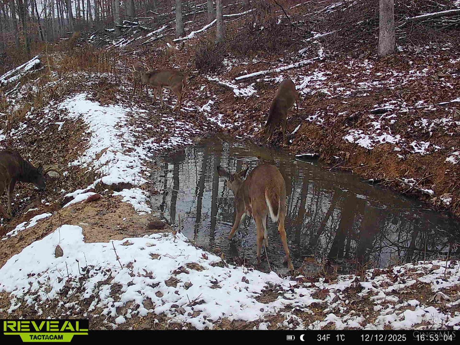 Ac Beech Fork Road Peebles, OH 45660 - Photo 36 of 49