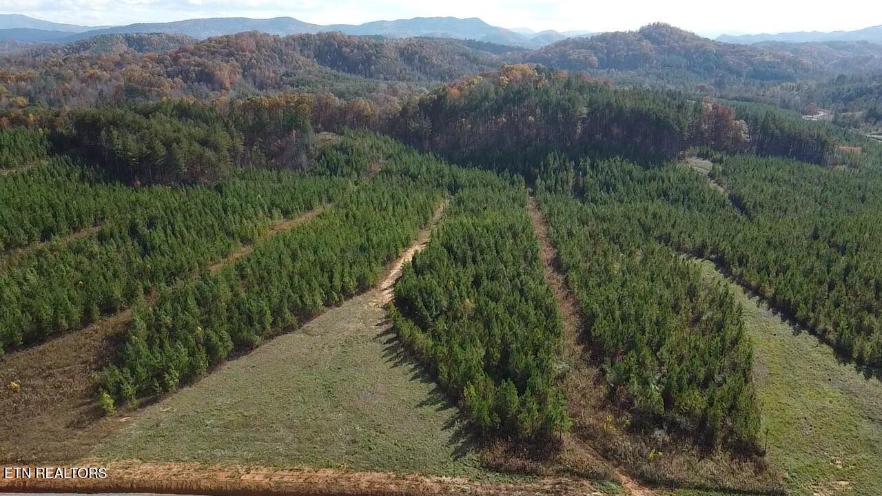 2025-11-07-14-22-07-046