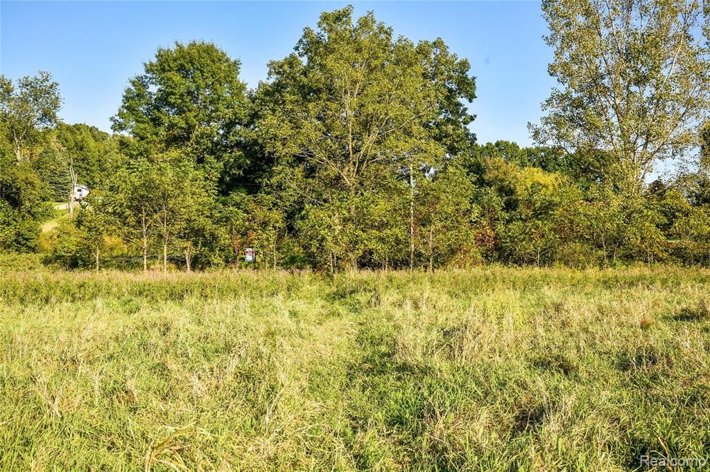 0 Thomas Road Oxford, MI 48371 - Photo 14 of 52 Gallery Image 14