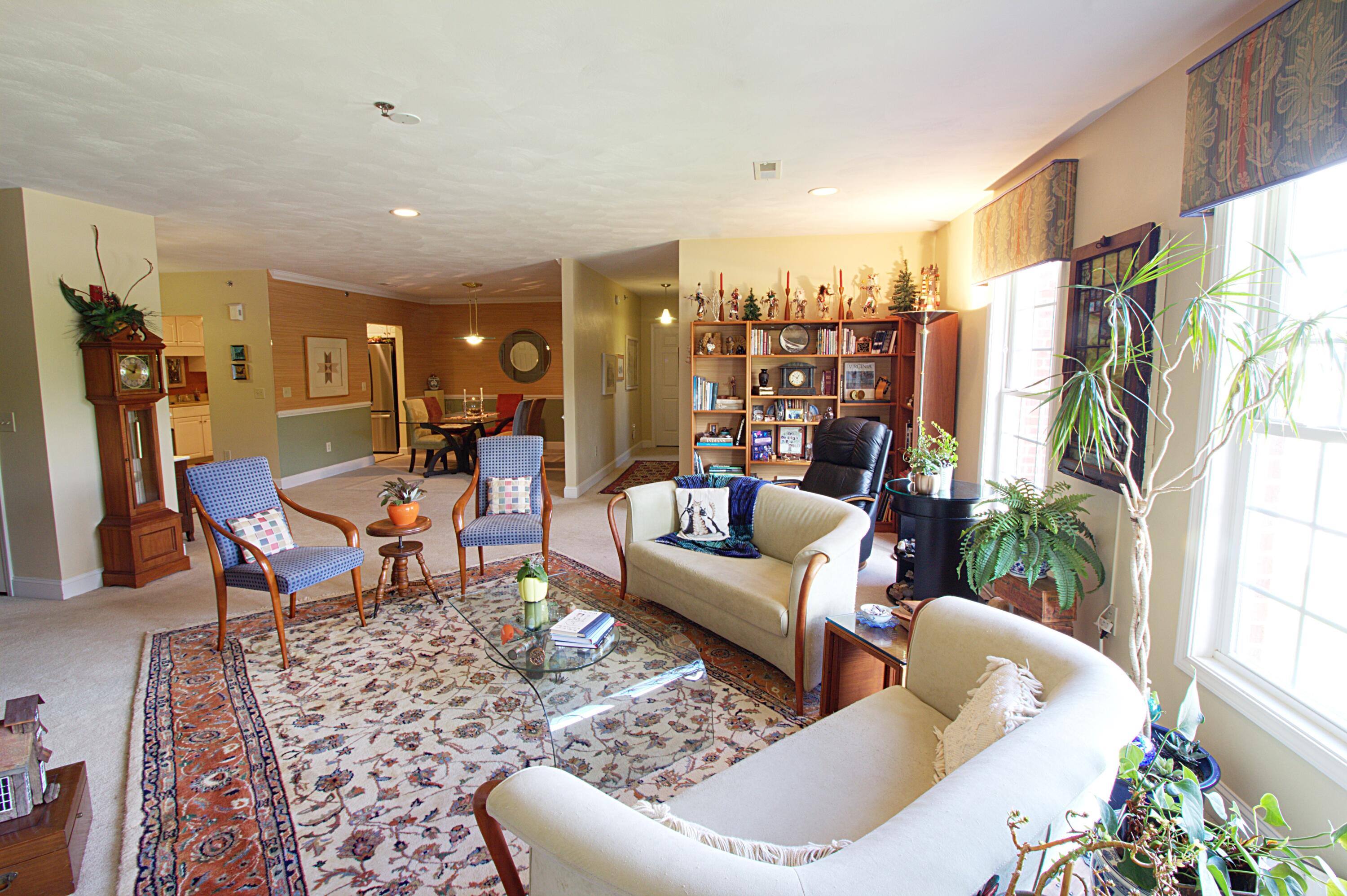 4444 Pheasant Ridge Road, Unit 204 Roanoke, VA 24014 - Photo 22 of 43 Living Room V2