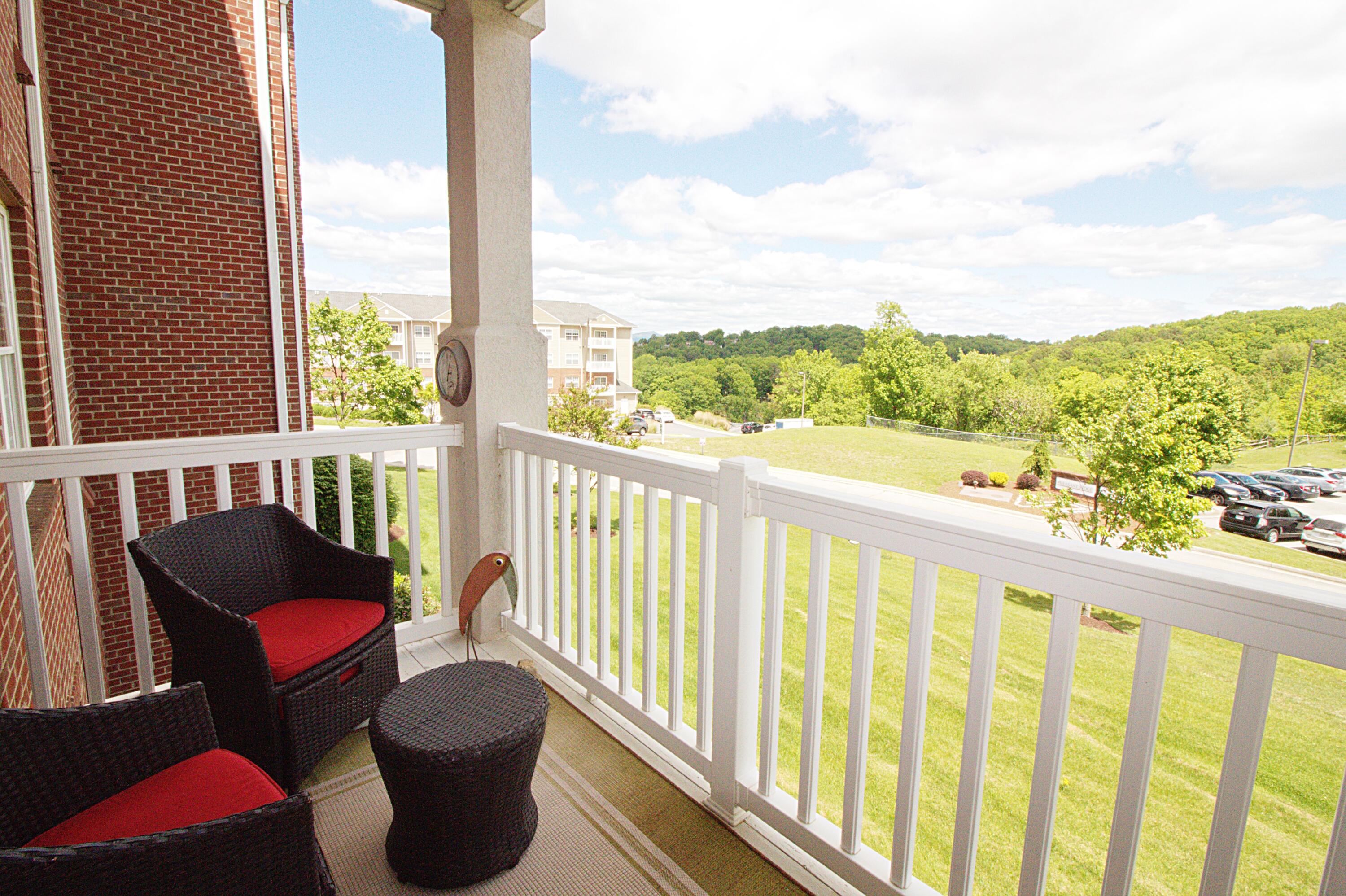 4444 Pheasant Ridge Road, Unit 204 Roanoke, VA 24014 - Photo 24 of 43 Balcony V2