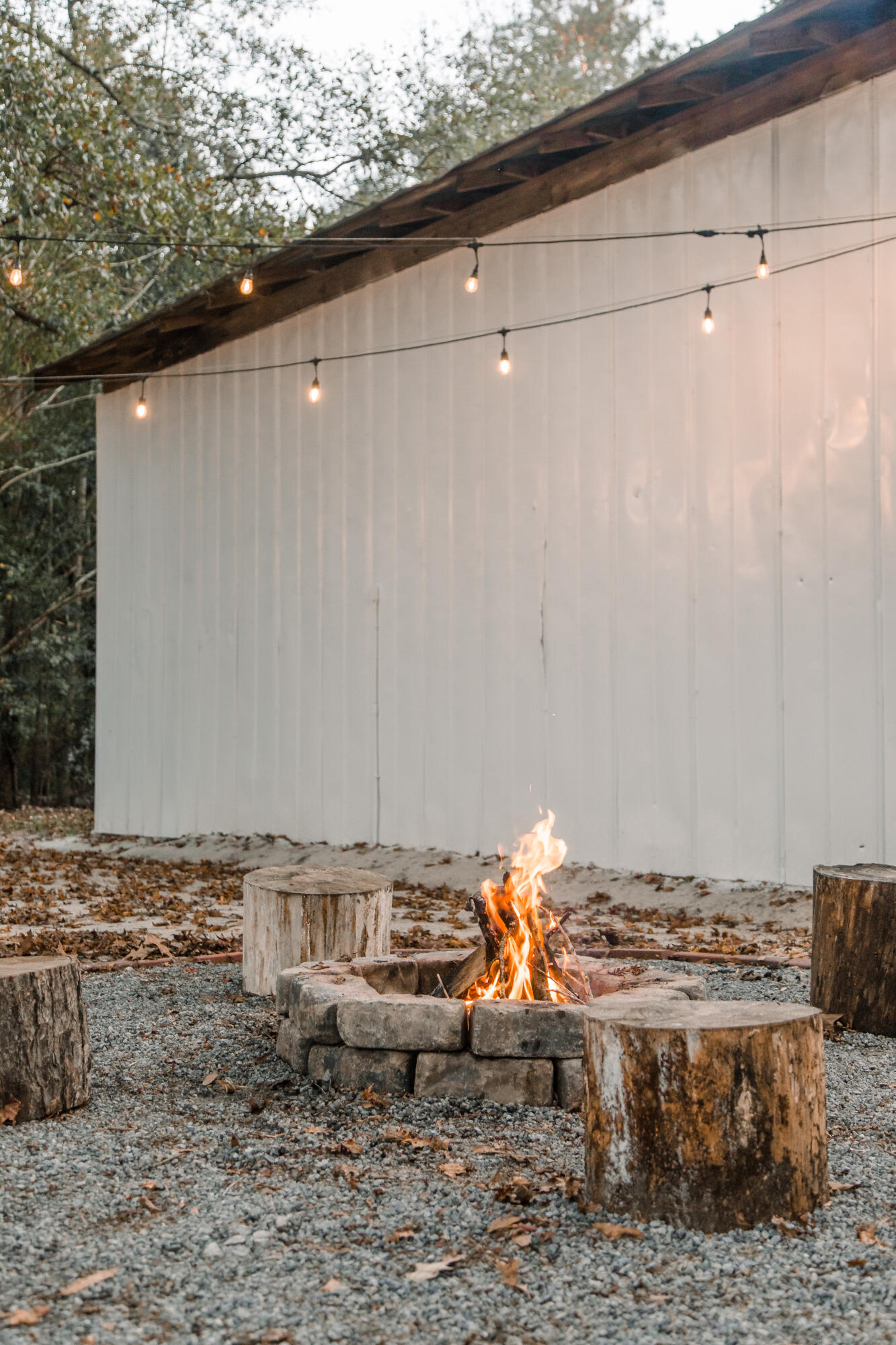 2269 Highway 61 Ridgeville, SC 29472 - Photo 49 of 100 Melissa Miley Photo-32