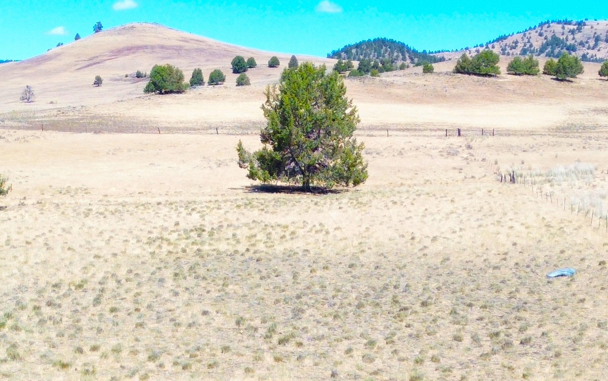 6232 C Street Lookout, CA 96054 - Photo 4 of 36 2