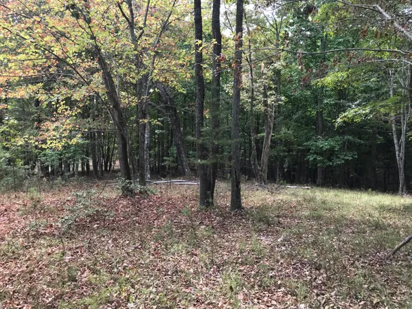 $33,500 | 103 B Bluff View Drive, Unit 103B, Dunlap, TN 37327