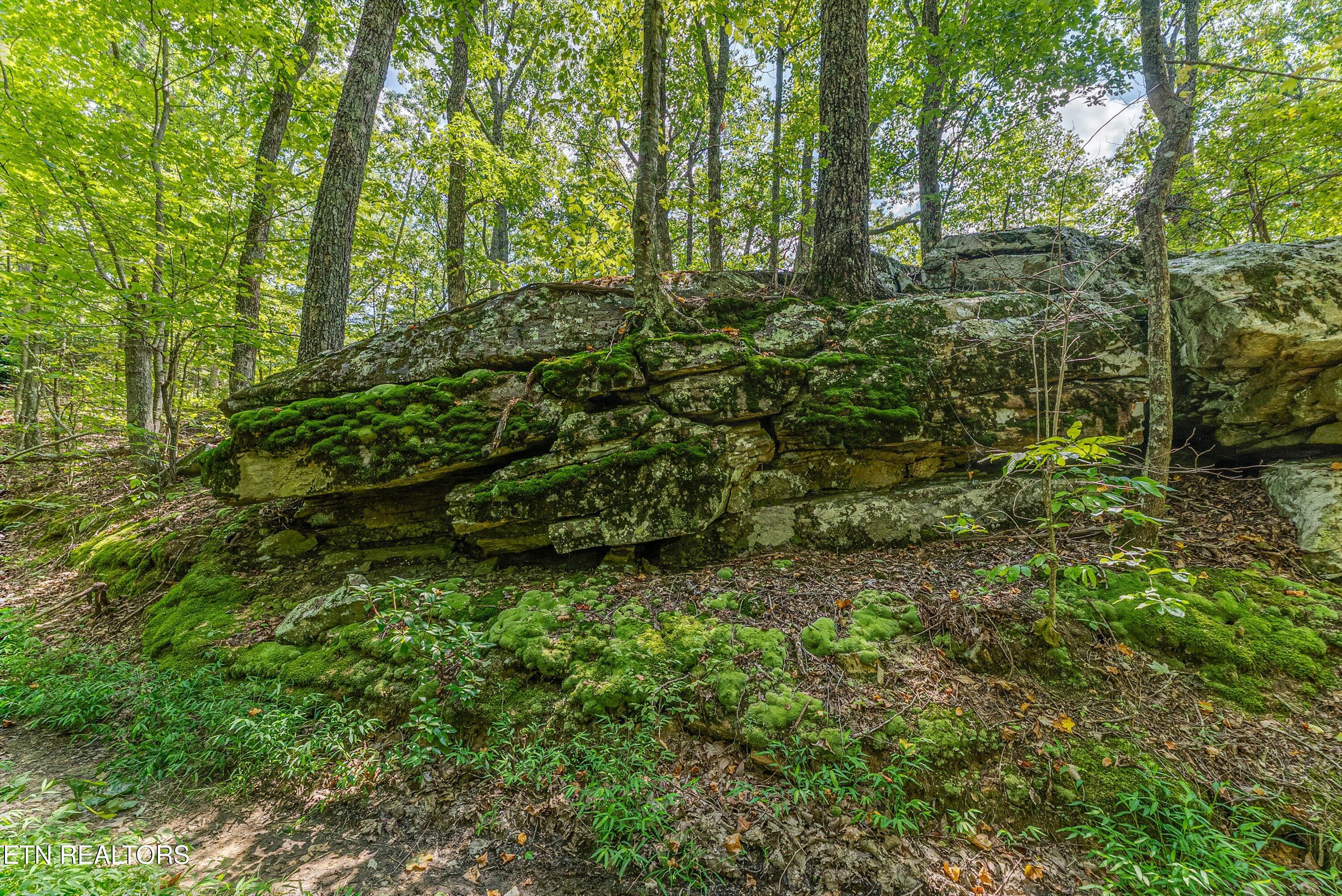 0 Capuchin Road Winfield, TN 37892 - Photo 18 of 26 35-Trail A2