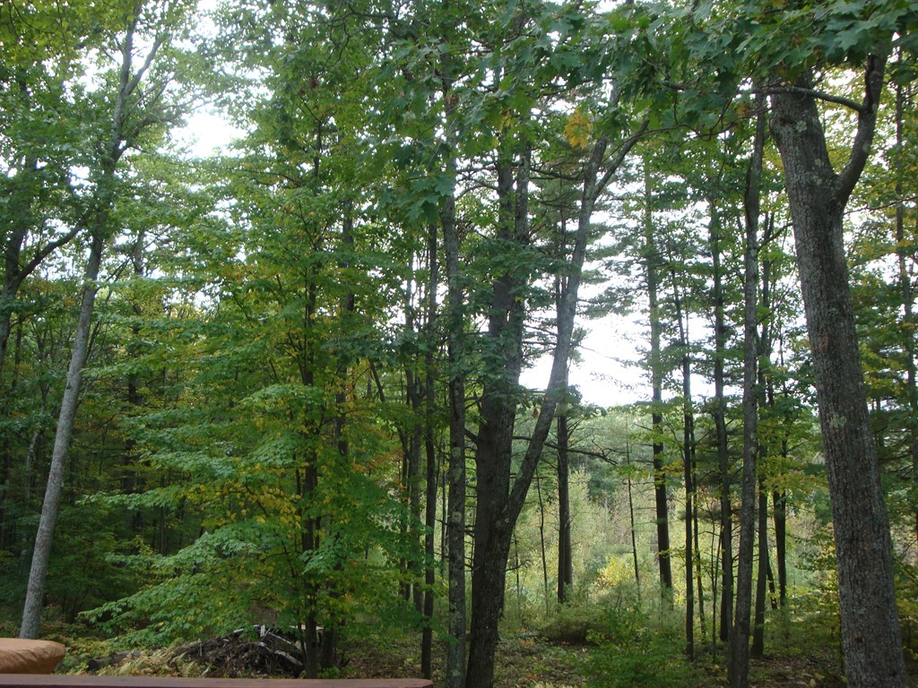 80 Eagle Road Winchendon, MA 01475 - Photo 3 of 17 Gallery Image 3