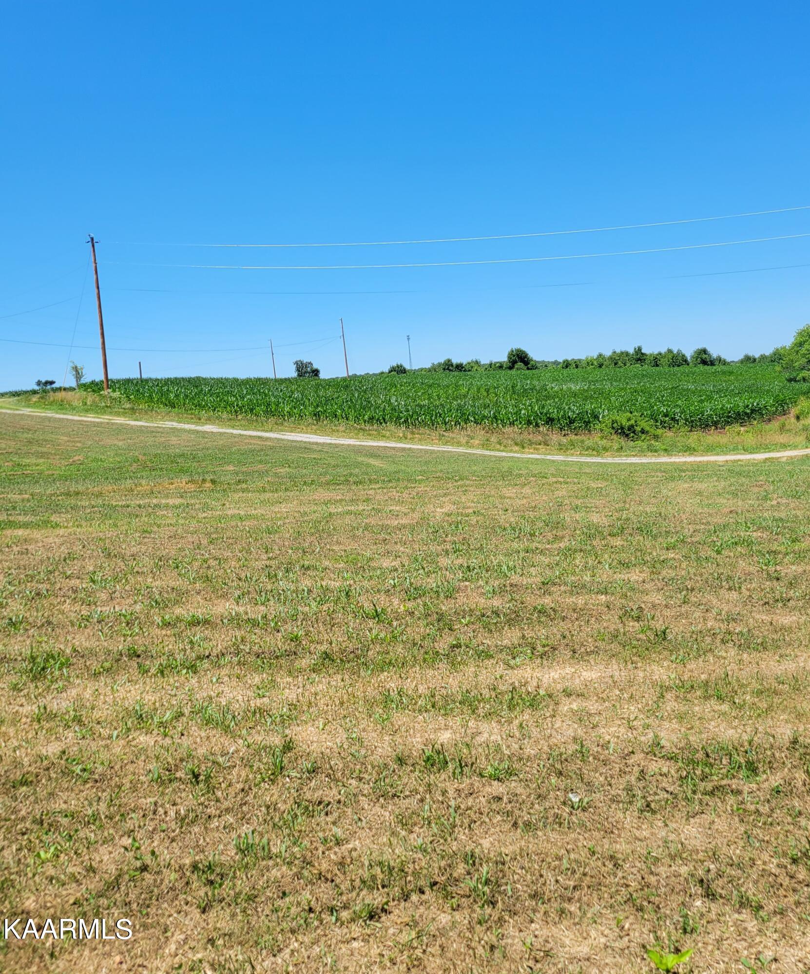 Chambers Road Robbins, TN 37852 - Photo 4 of 7 20220618_131442