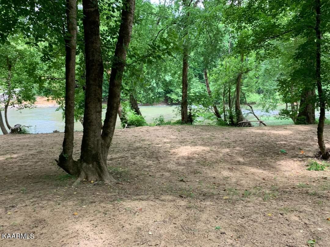 Chambers Road Robbins, TN 37852 - Photo 6 of 7 FB_IMG_1655684243244