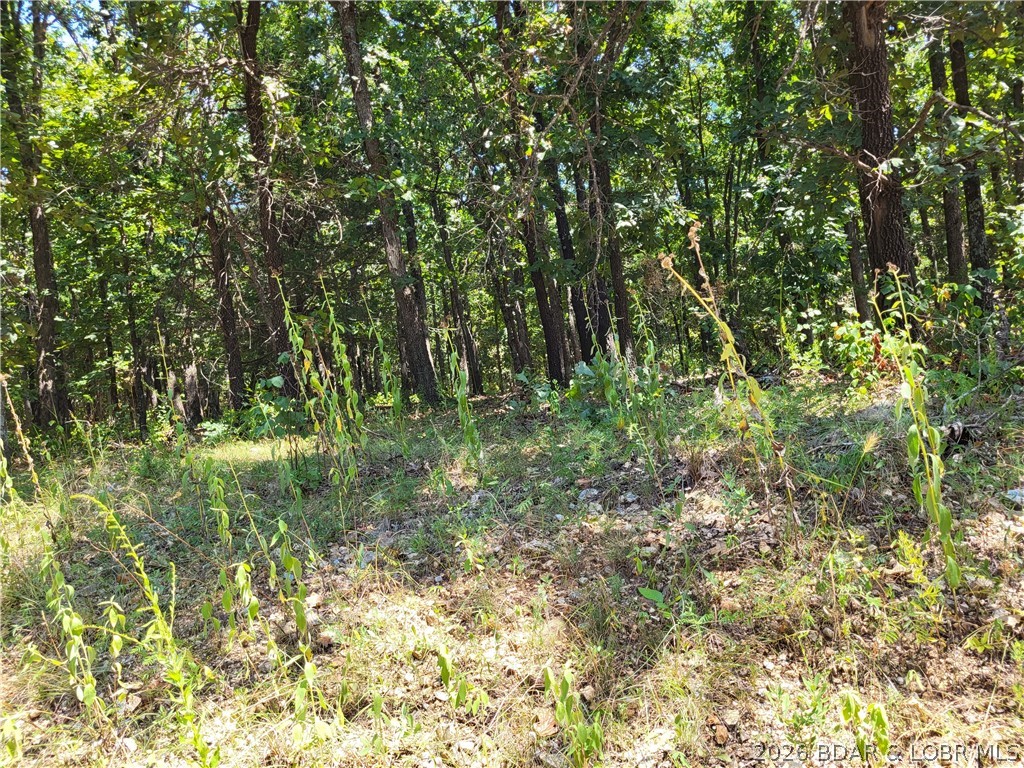 Trinchera Road, Unit 3944 & 3945 Edwards, MO 65326 - Photo 5 of 18 Gallery Image 5
