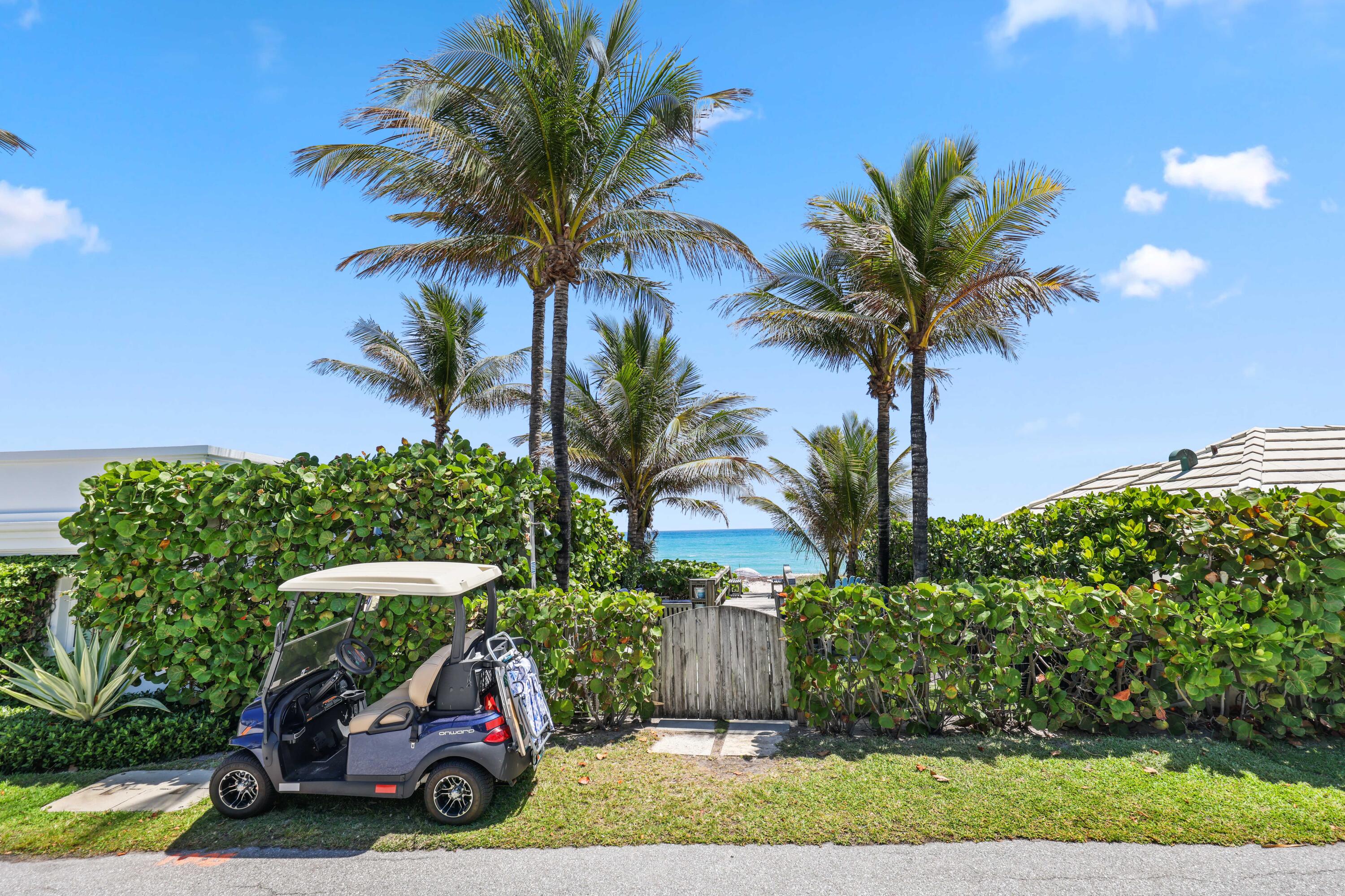 246 Merrain Road Palm Beach, FL 33480 - Photo 25 of 31 a house with palm tree in front of it