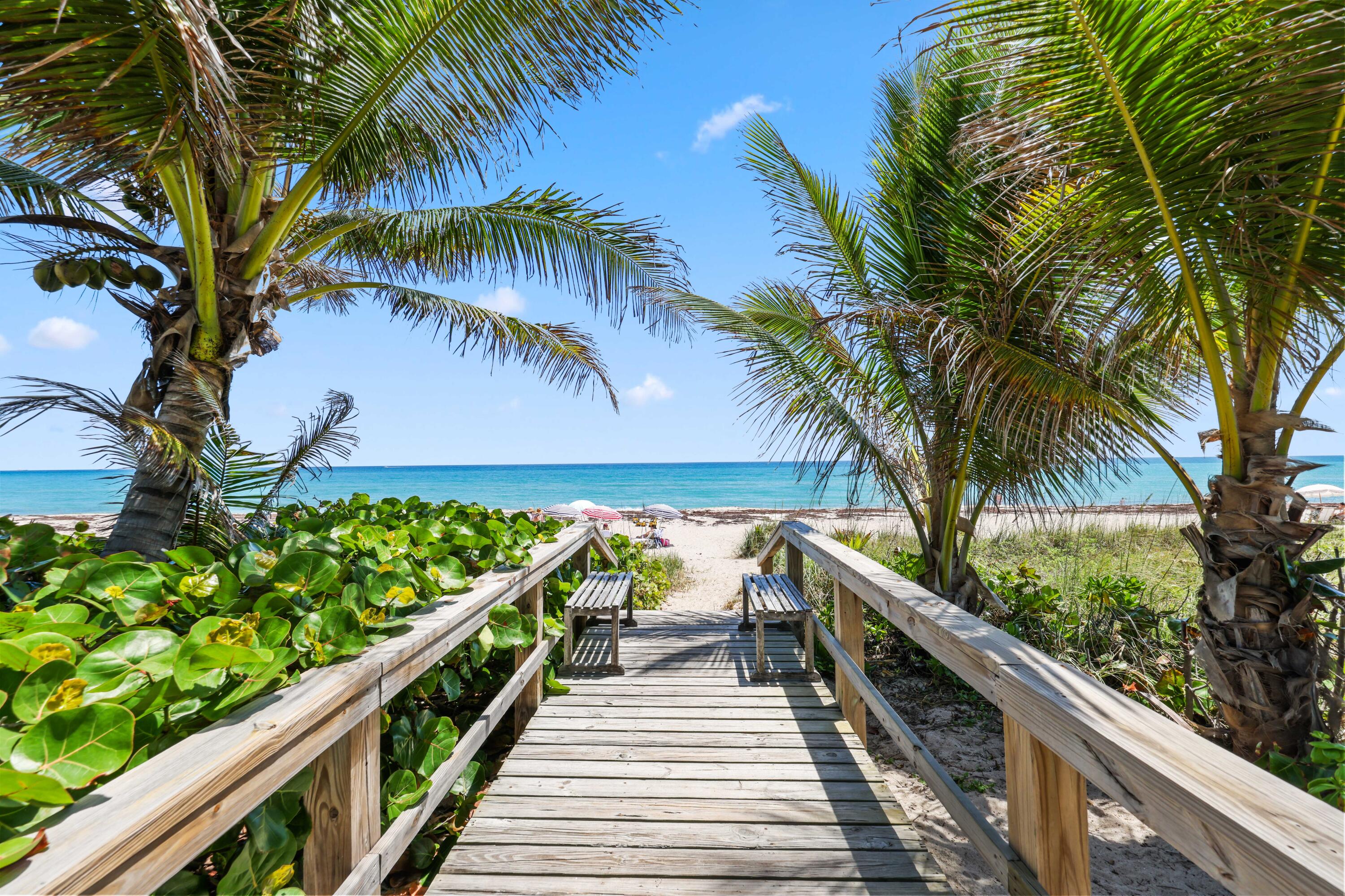 246 Merrain Road Palm Beach, FL 33480 - Photo 27 of 31 a view of outdoor space with trees