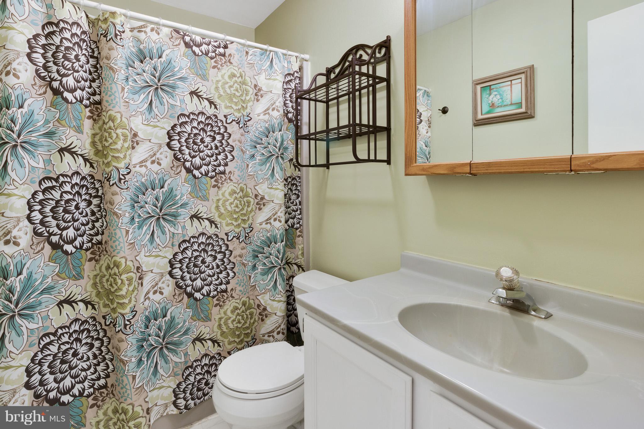 1332 Elk Forest Road Elkton, MD 21921 - Photo 8 of 20 Bath