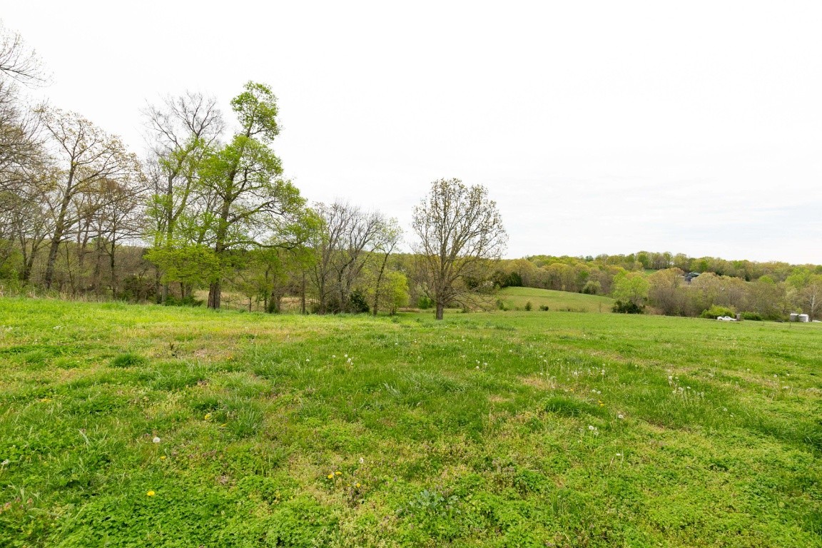 399 Calvert Ridge Road Westmoreland, TN 37186 - Photo 2 of 31 a view of grassy field with trees
