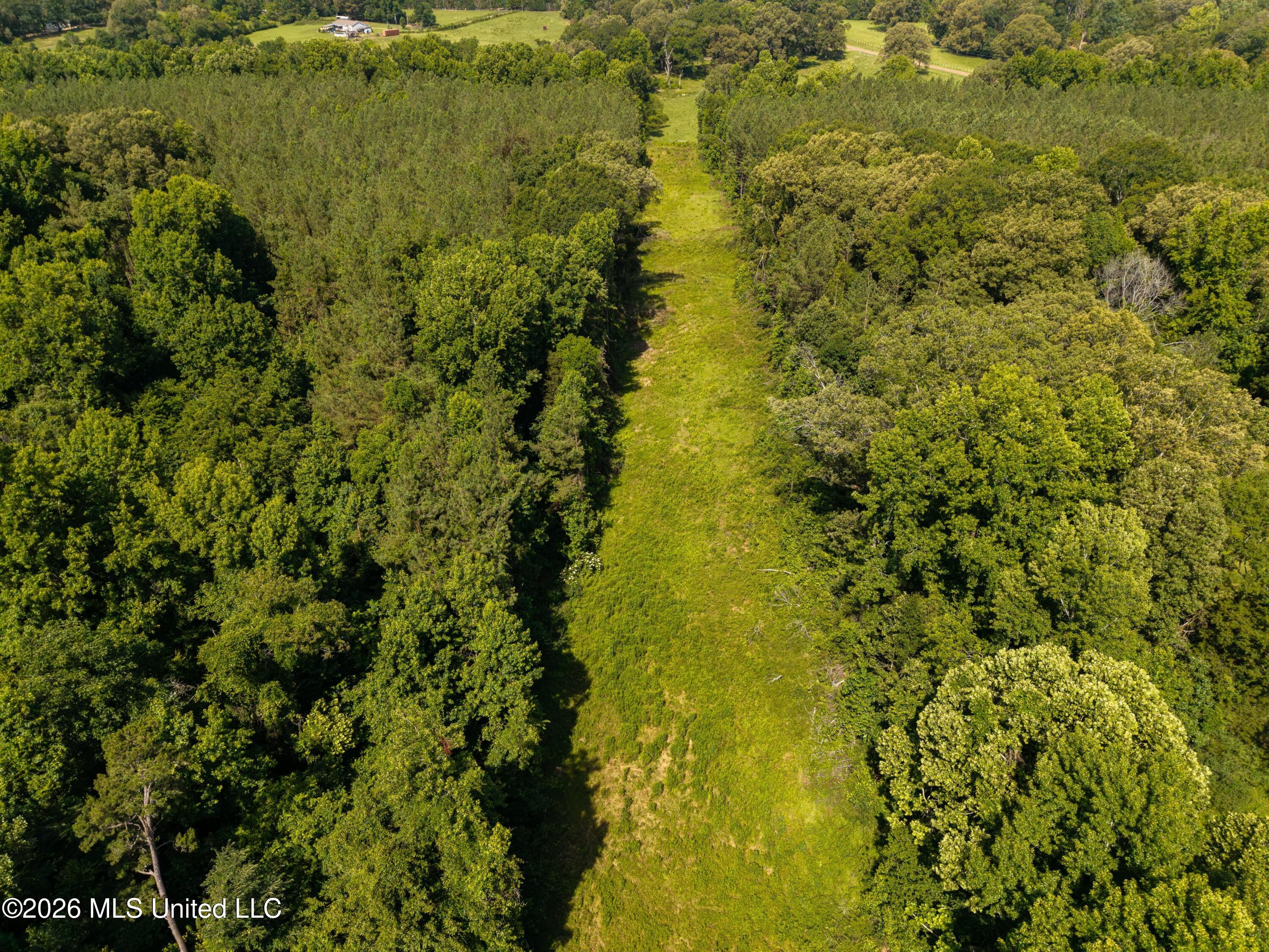 8454 Anding Oil City Road Bentonia, MS 39040 - Photo 25 of 25 DJI_20260604101752_0086_D