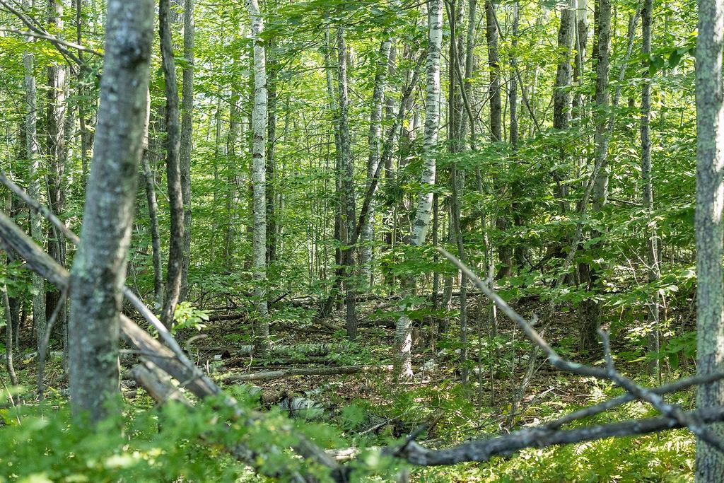 George Road Hopkinton, NH 03229 - Photo 11 of 13