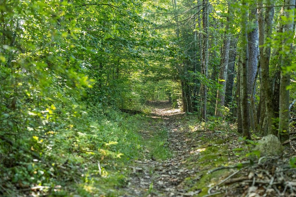 George Road Hopkinton, NH 03229 - Photo 2 of 13