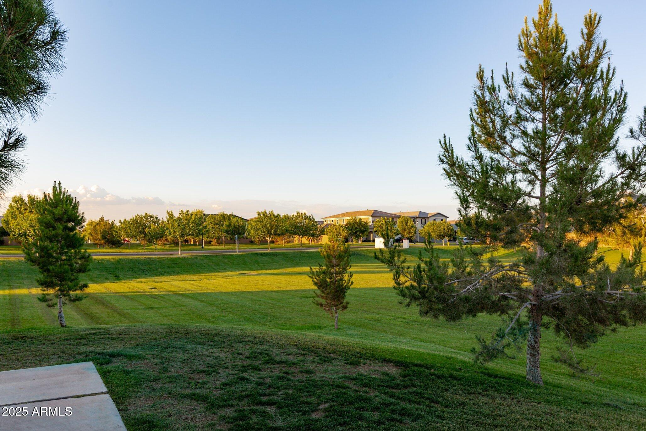 3437 East Appaloosa Road Gilbert, AZ 85296 - Photo 43 of 47 a view of outdoor space and yard