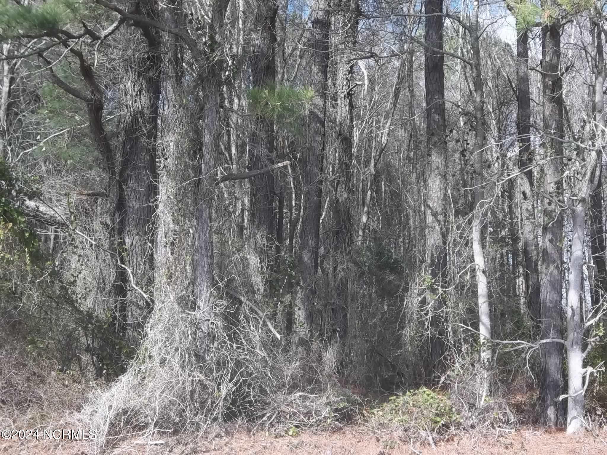 Lot 2 Griffin Swamp Road Elizabeth City, NC 27909 - Photo 1 of 1 main