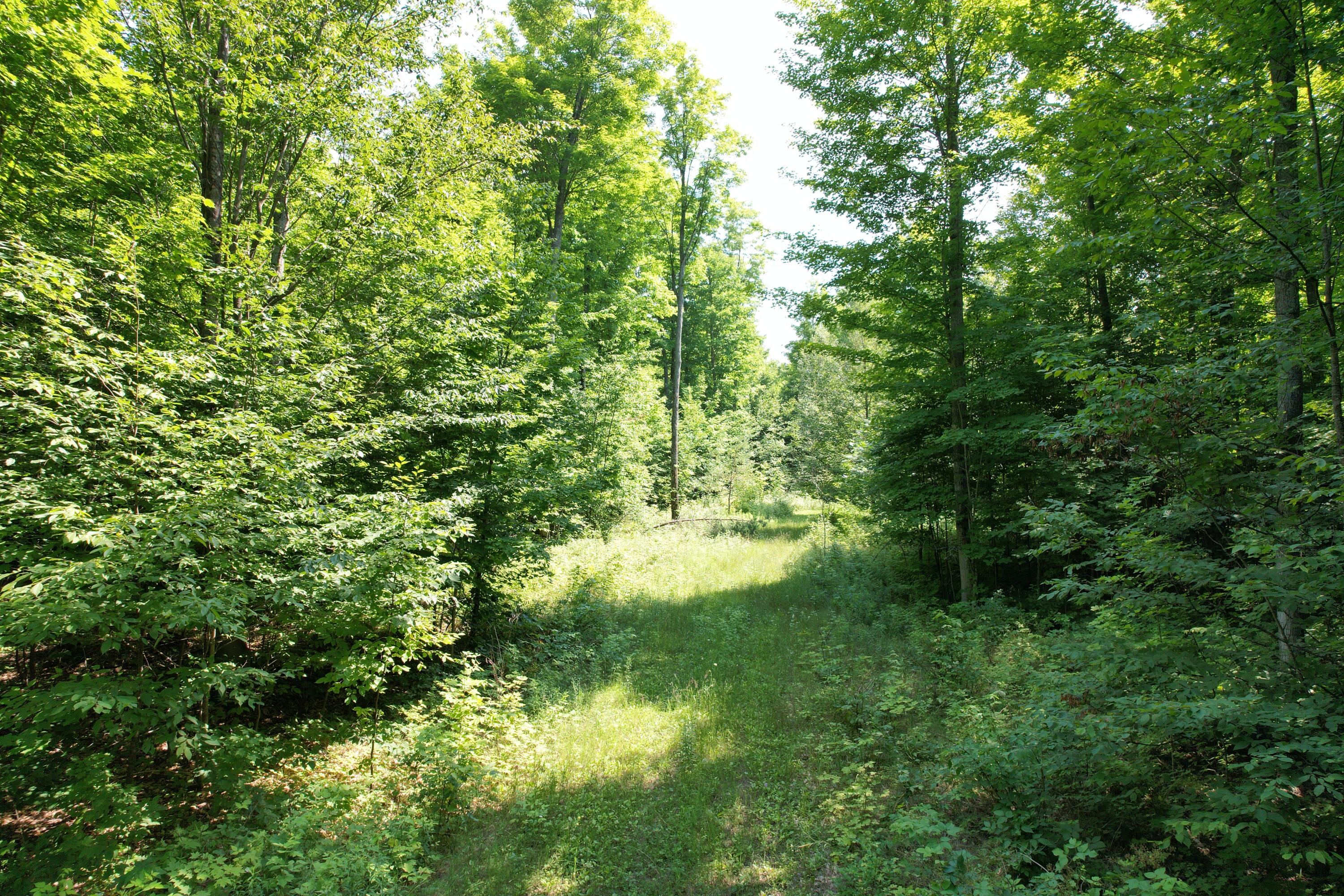 Piper Lane Frederic, MI 49733 - Photo 5 of 25 Gallery Image 5