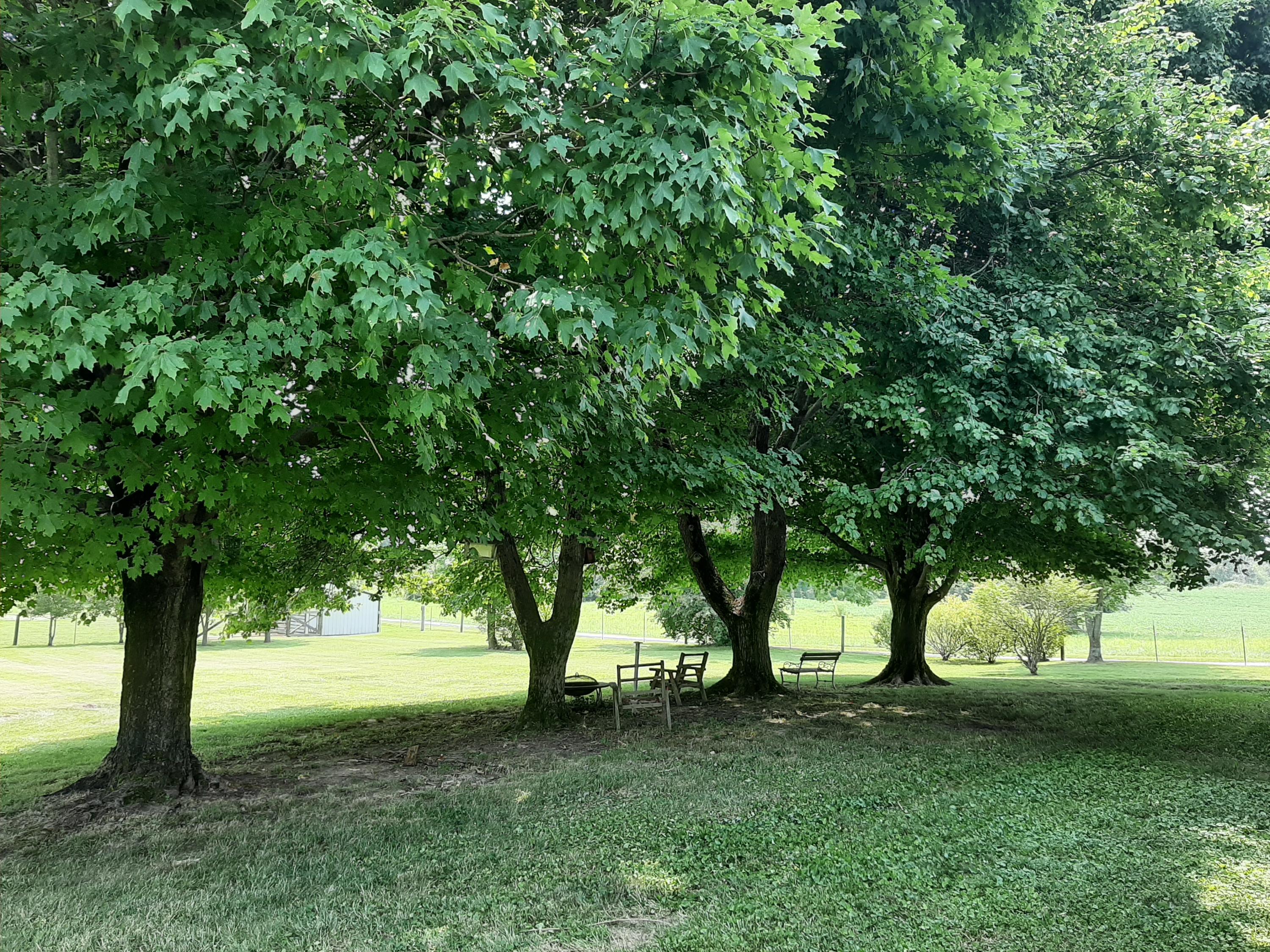 2845 Bowens Loop Road Stanford, KY 40484 - Photo 49 of 65 20210722_141253