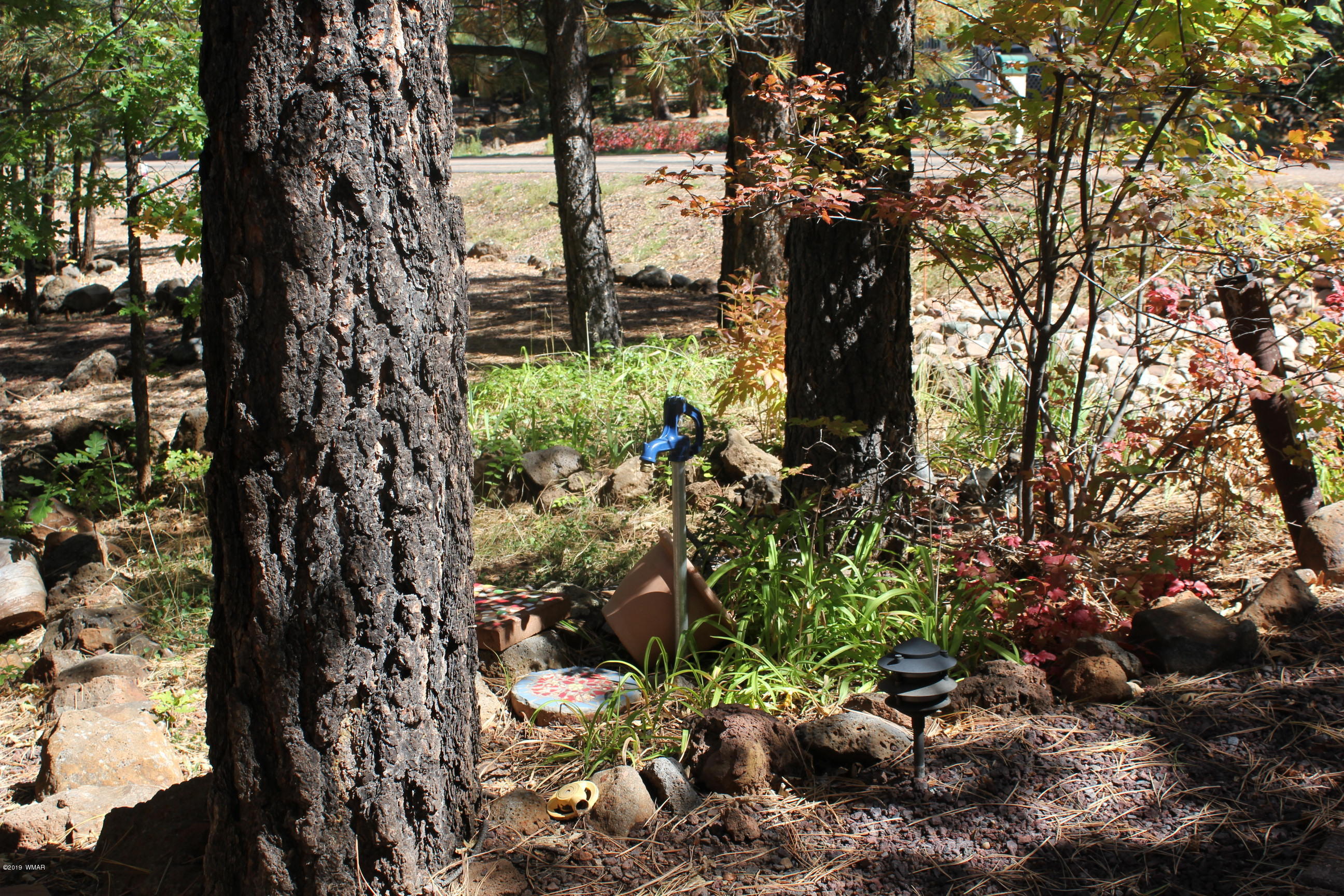 3832 Turkey Track Road Pinetop, AZ 85935 - Photo 22 of 22 Gallery Image 22