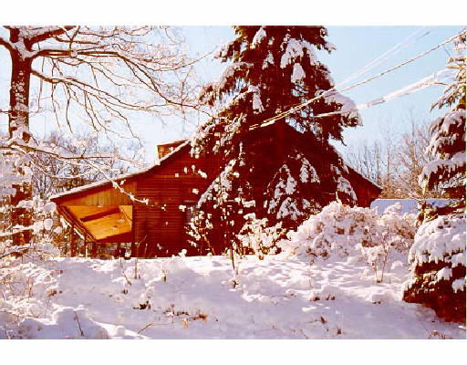 935 Bay Road Amherst, MA 01002 - Photo 1 of 1 a backyard of a house