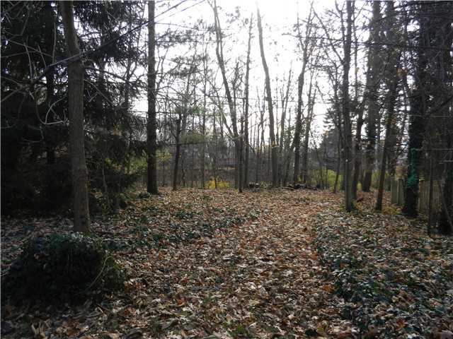 2567 Minerva Lake Road Columbus, OH 43231 - Photo 10 of 13