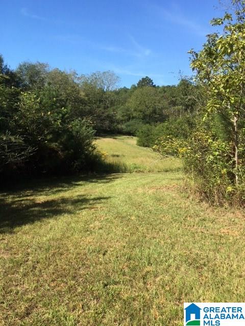 2932 County Road 82 Lineville, AL 36266 - Photo 14 of 16