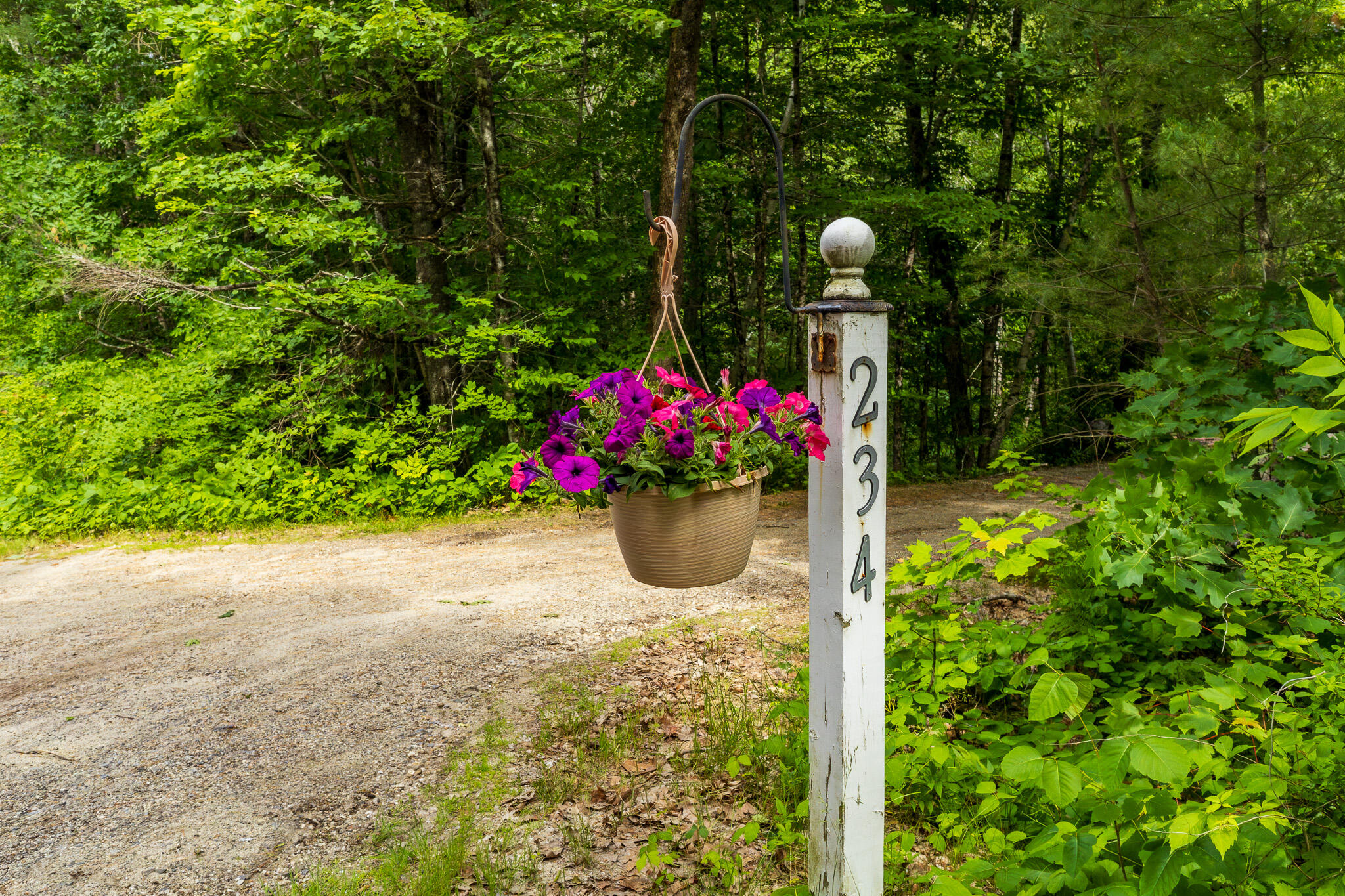 234 Cleve Tripp Road Poland, ME 04274 - Photo 1 of 52 at the road
