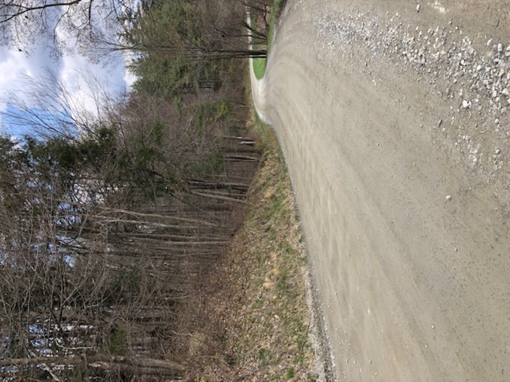0 Vt Route Moretown, VT 05660 - Photo 4 of 30 Gallery Image 4