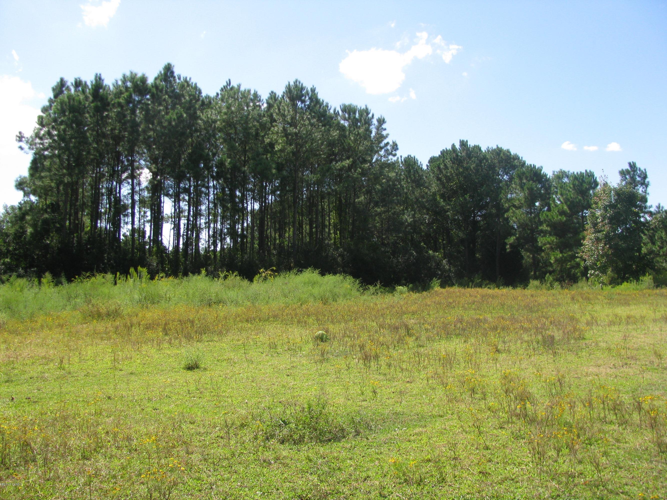 256 Arrington Road Beaufort, NC 28516 - Photo 2 of 10 PROPERTY VIEW