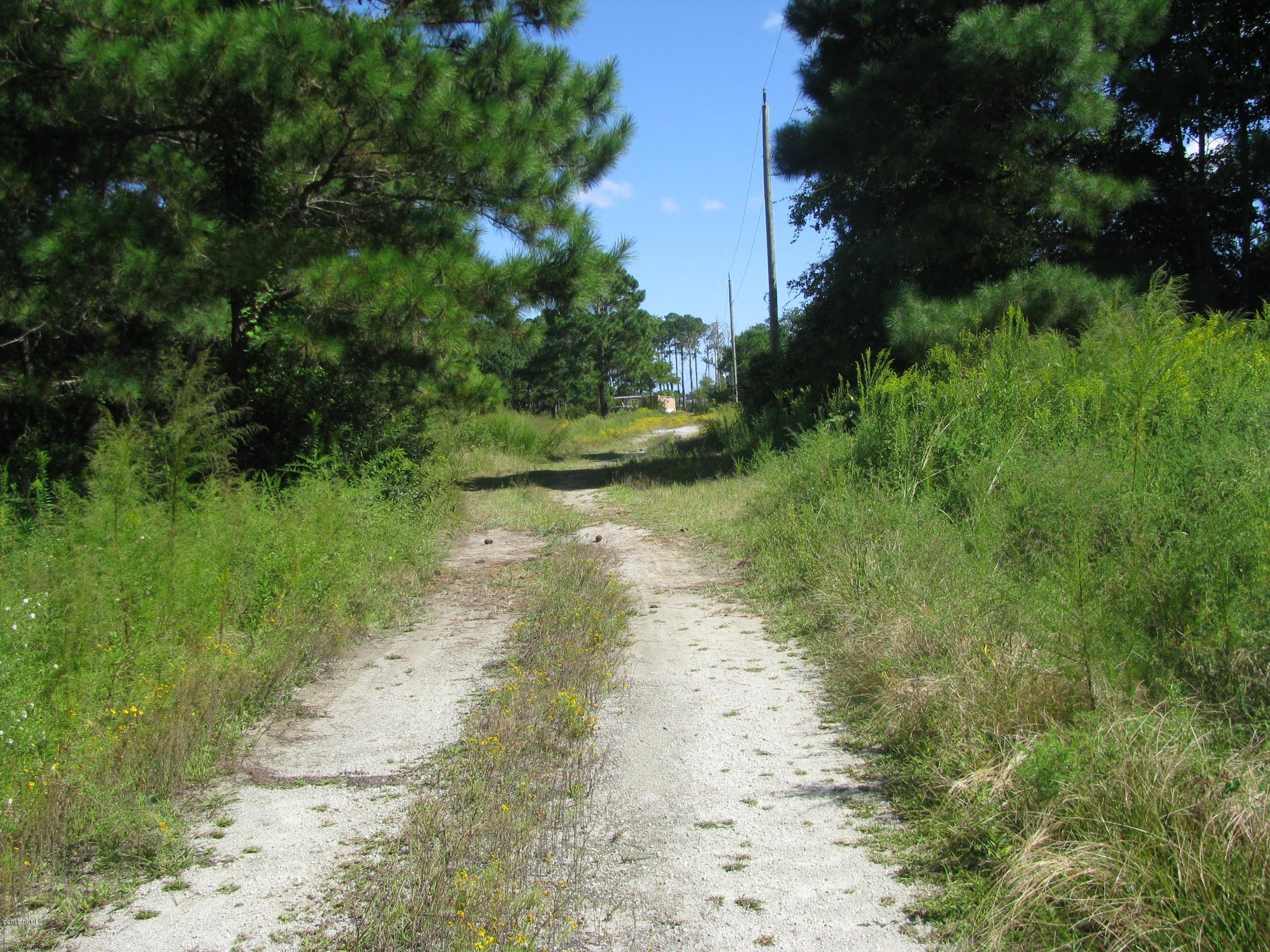 256 Arrington Road Beaufort, NC 28516 - Photo 3 of 10 PROPERTY DRIVEWAY VIEW