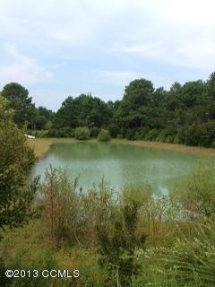 256 Arrington Road Beaufort, NC 28516 - Photo 4 of 10 POND ON PROPERTY