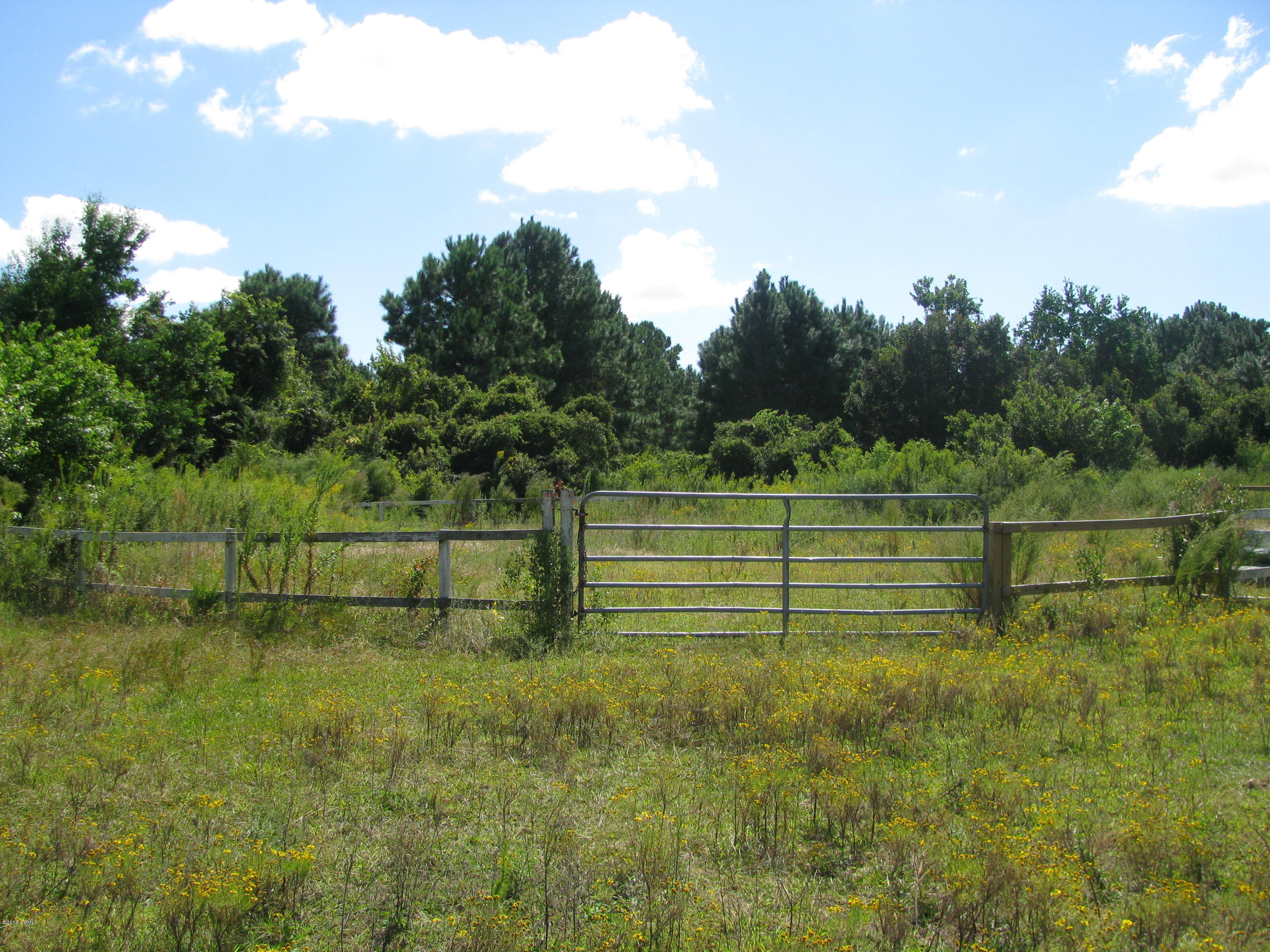 256 Arrington Road Beaufort, NC 28516 - Photo 7 of 10 ROUND RIDING RING VIEW