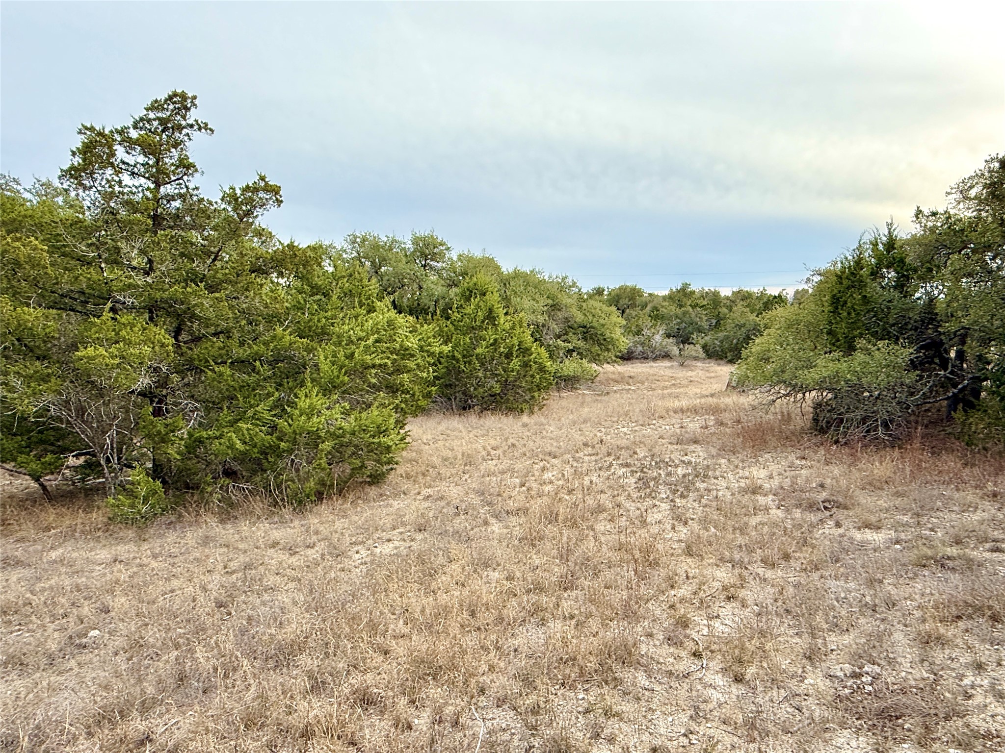 557 Abodar Trail Spring Branch, TX 78070 - Photo 12 of 22 Middle Interior - looking to the front