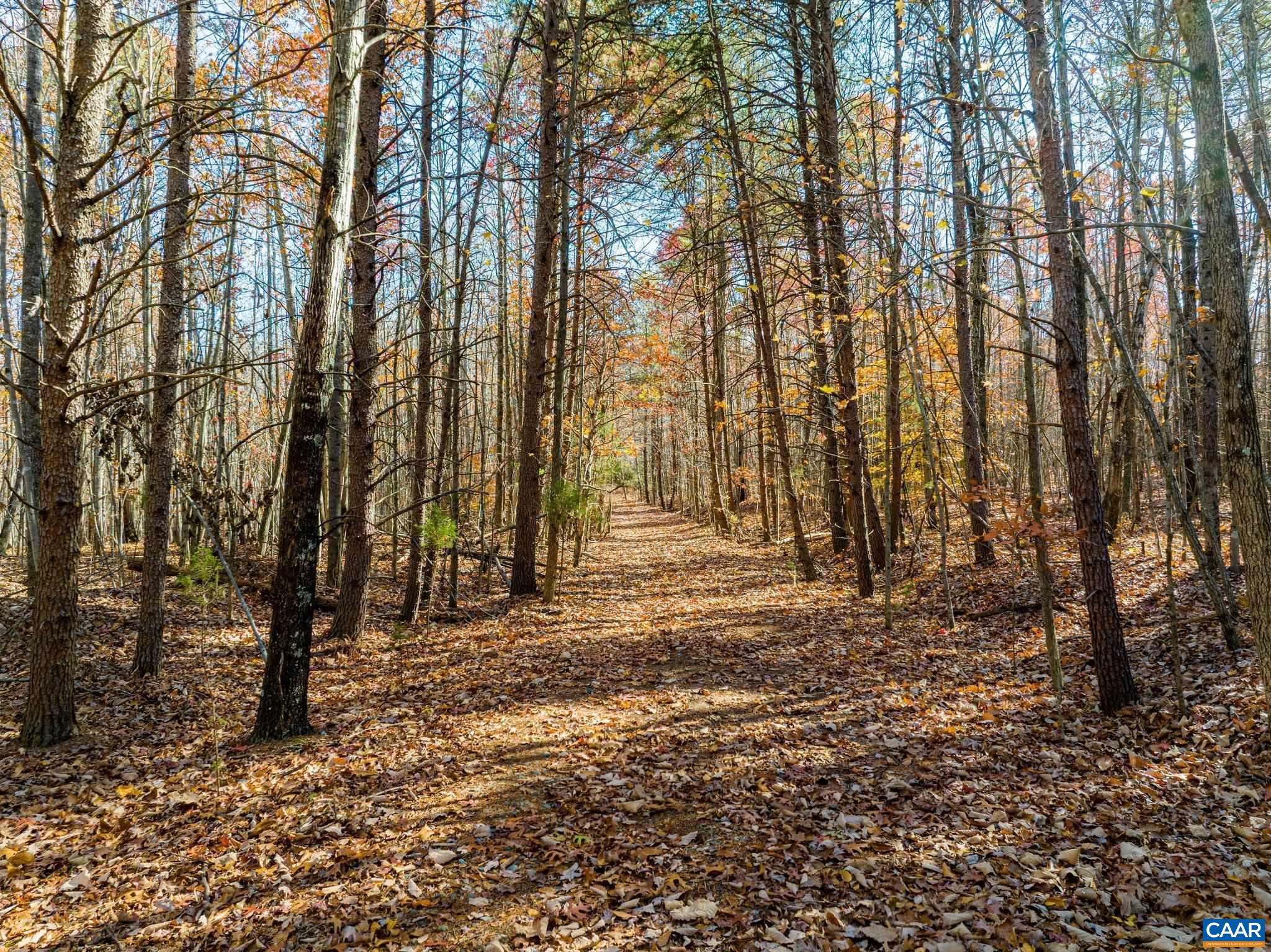 0 Hollands Road Palmyra, VA 22963 - Photo 3 of 20 a view of outdoor space with lots of trees