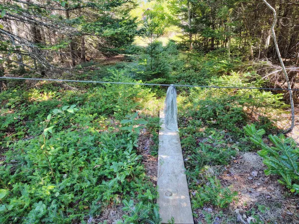 $130,000 | 916 U.S. Rte 1, Jonesboro, ME 04648