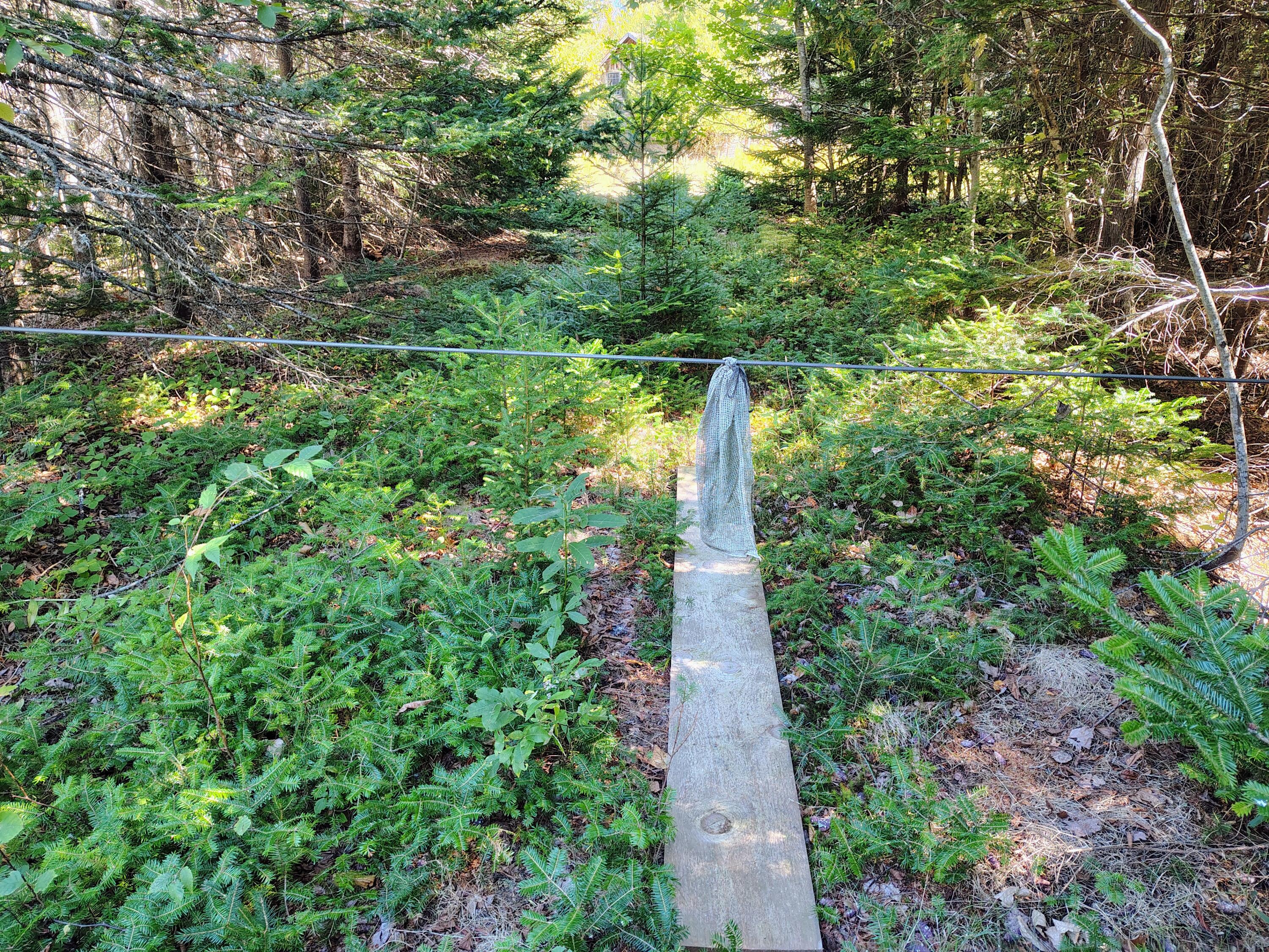 916 U.S. Rte 1 Jonesboro, ME 04648 - Photo 3 of 17 IMG_20250915_132610744_HDR_AE