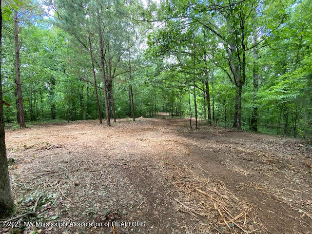 8 Sandy Ridge Road Byhalia, MS 38611 - Photo 13 of 15 unnamed 12