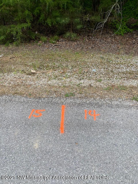 8 Sandy Ridge Road Byhalia, MS 38611 - Photo 10 of 15 unnamed (14