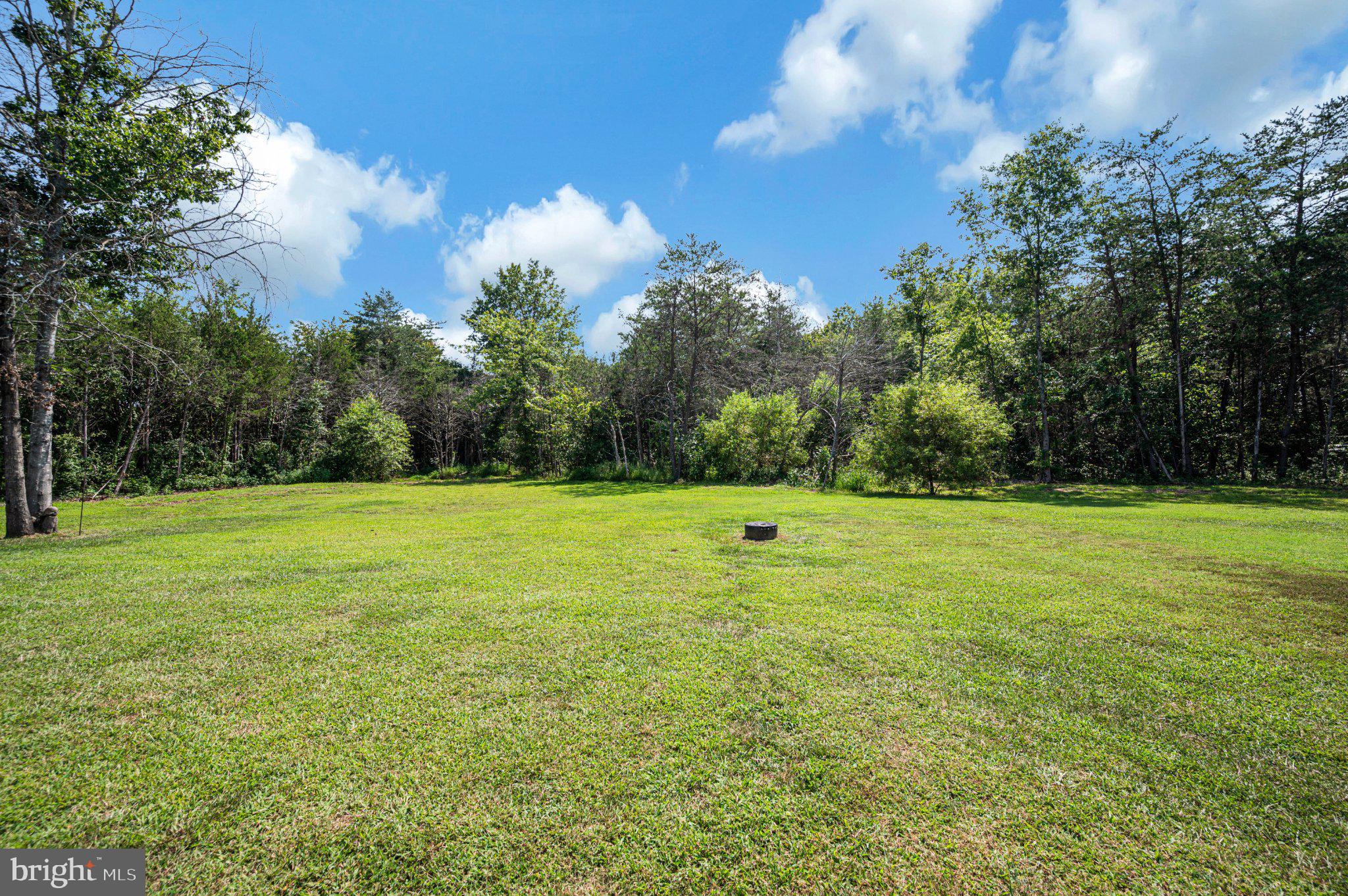 1651 Sowego Road Catlett, VA 20119 - Photo 51 of 75 Peacful view from back porch and patio